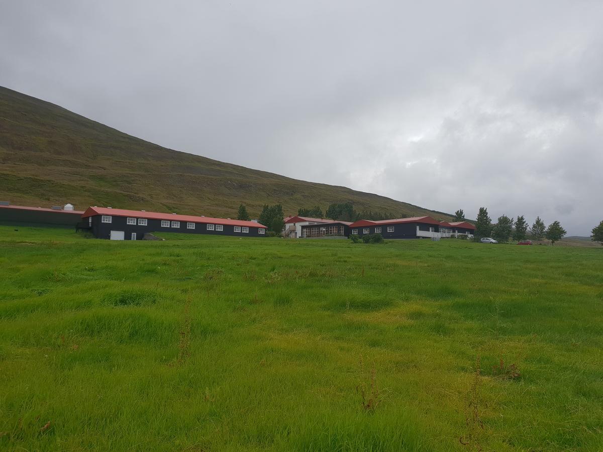 斯文布加纳格迪酒店 Svalbarthseyri 外观 照片